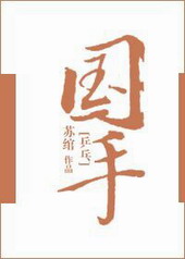 国手乒乓小说封面